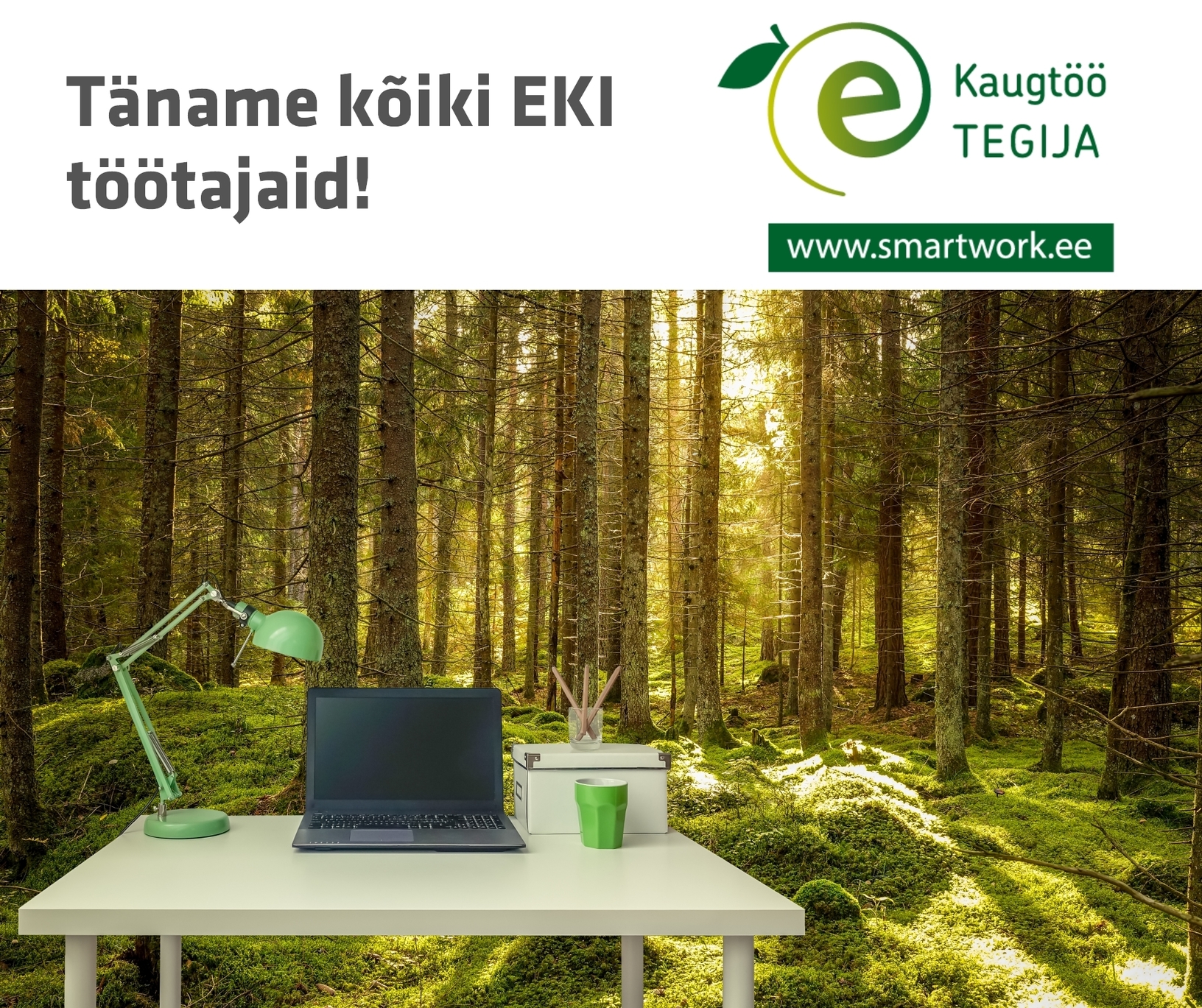 kaugtoo_3.jpg