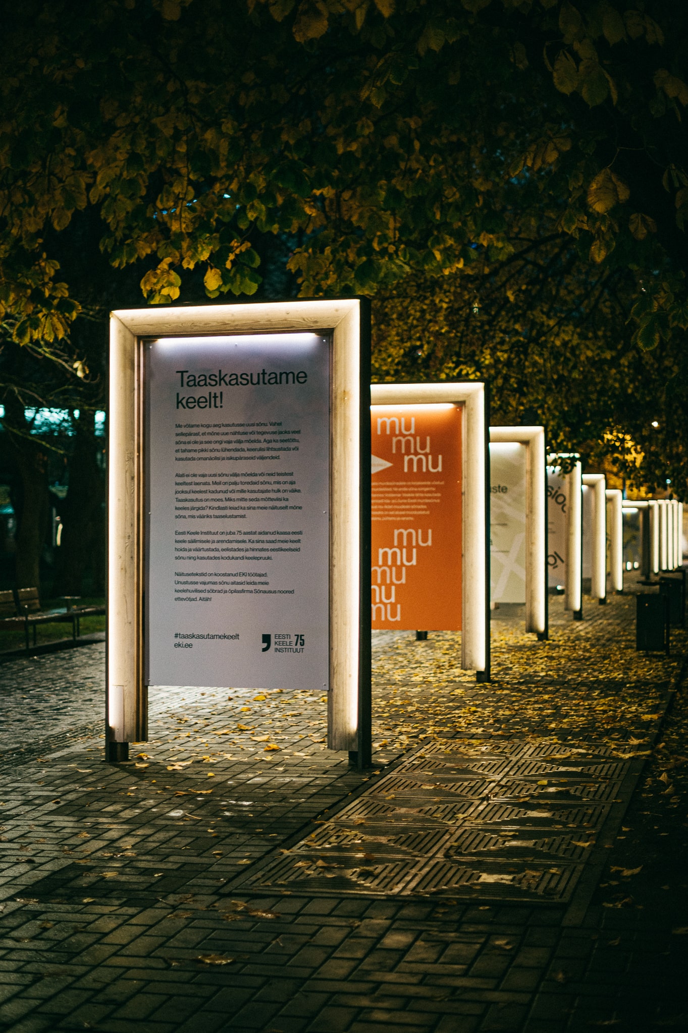 marekmetslaid__MMP7850-min.jpg