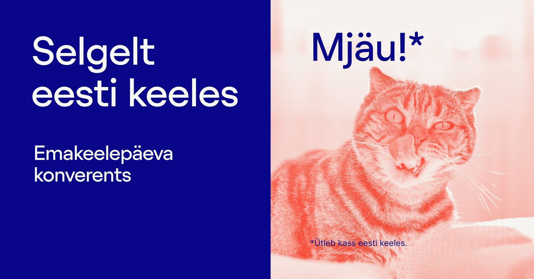 mjau.jpg