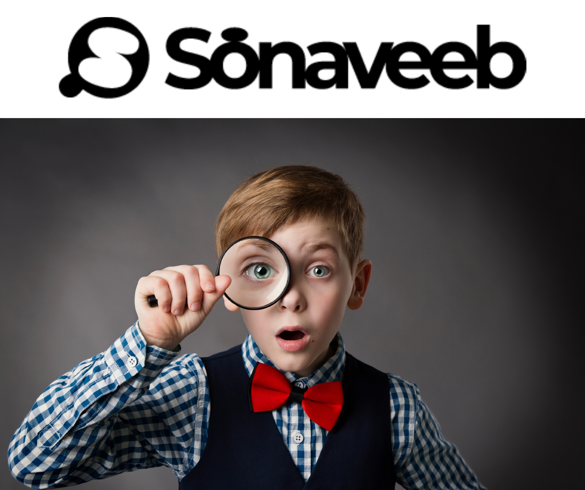 sonaveeb_FB.jpg