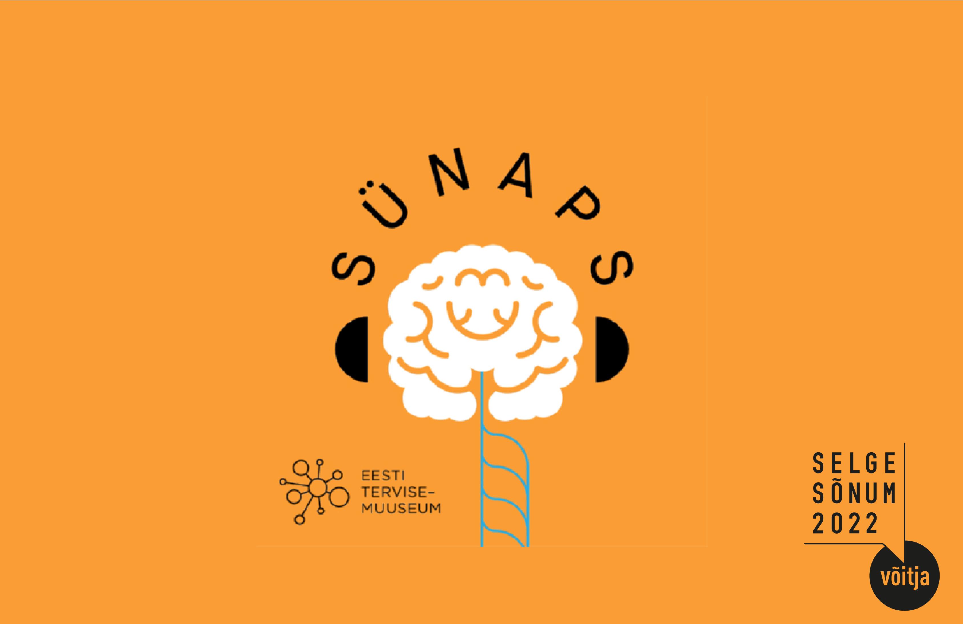 sunaps_3.jpg